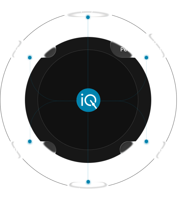 A circular diagram with a black center and blue markers at various positions, labeled "iQ" in the middle and "Pen" at the top.